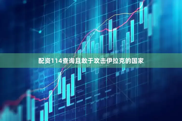 配资114查询且敢于攻击伊拉克的国家
