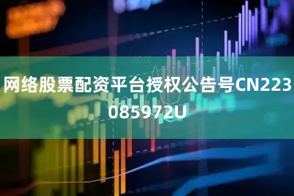 网络股票配资平台授权公告号CN223085972U