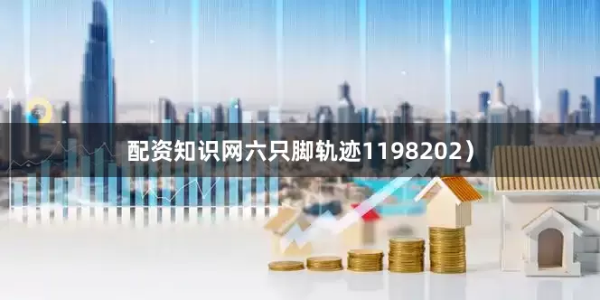 配资知识网六只脚轨迹1198202）