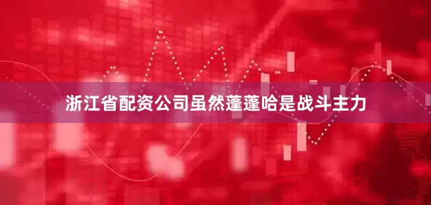 浙江省配资公司虽然蓬蓬哈是战斗主力