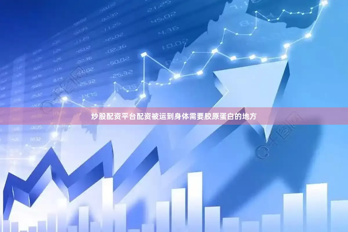 炒股配资平台配资被运到身体需要胶原蛋白的地方